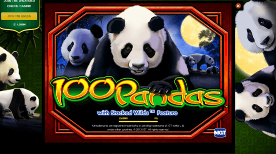 100 Pandas took over MrGreen