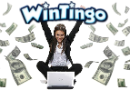 Wintingo_Winner_130x90
