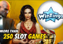 wintingo 130x90