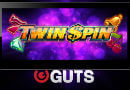 Twin_SPin_Mobile_Guts 130x90