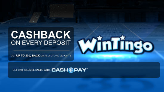 Up to 20% Cashback While Playing at Wintingo