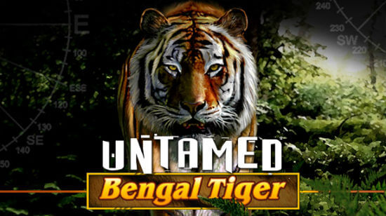 Look Into the Eye of Bengal Tiger at Mr Green Casino